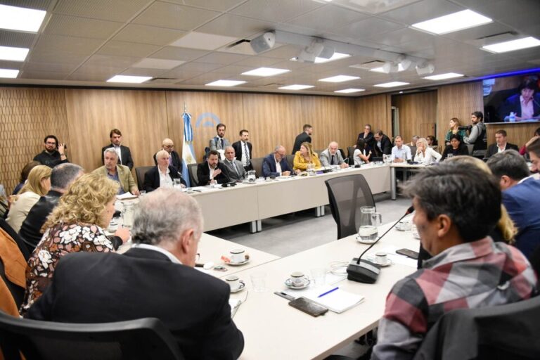 comision ley de bases