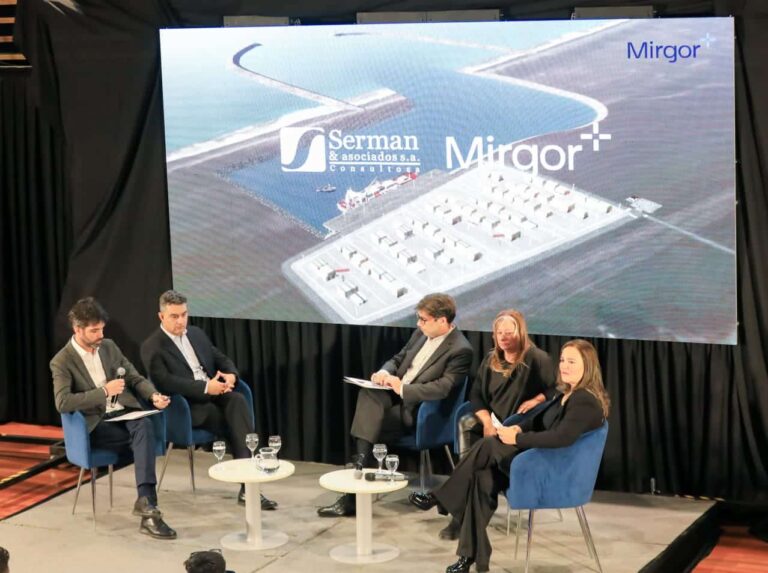 proyecto puerto mirgor