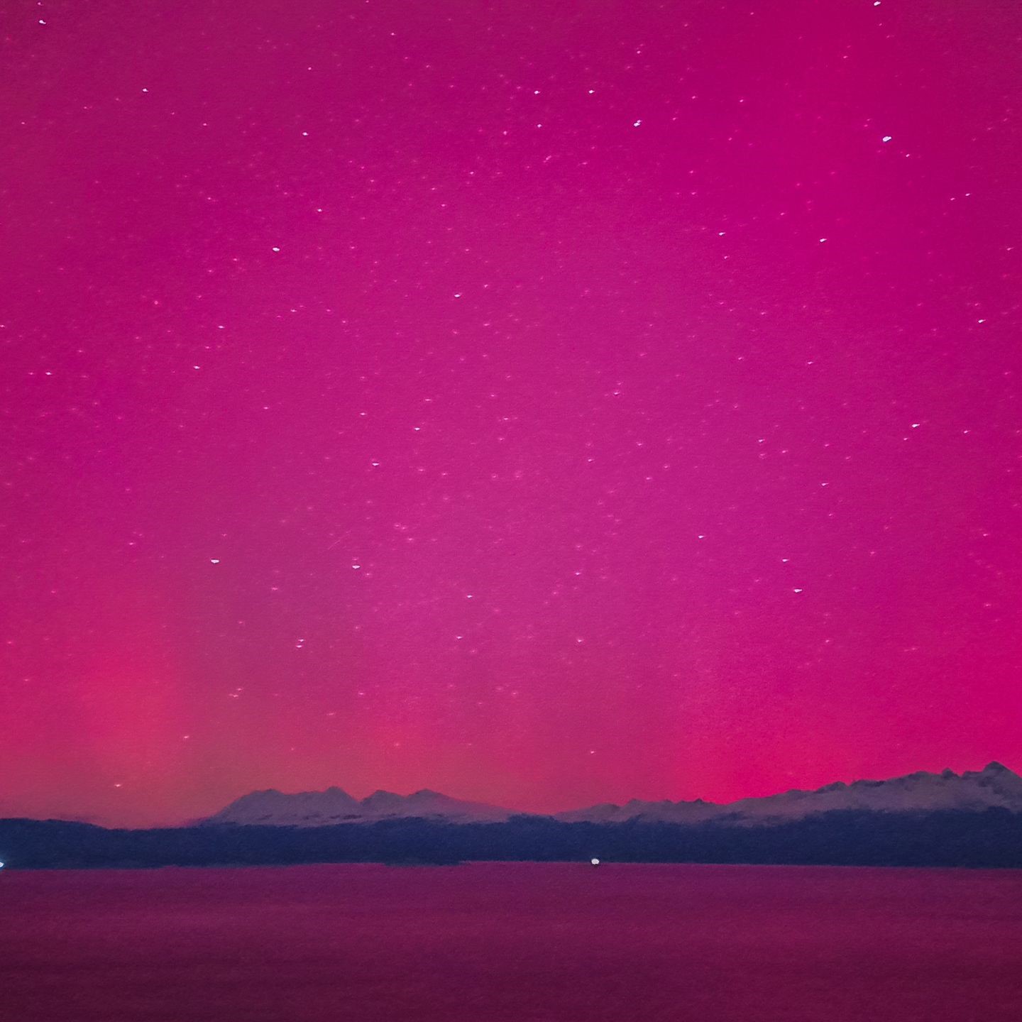 442446169_362674760131495_4839451236678928168_n