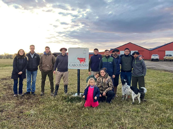 reproduccion bovinos