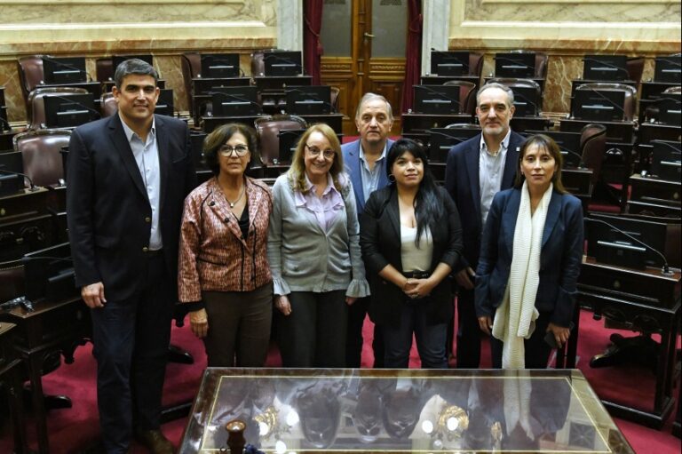 senadores patagonicos