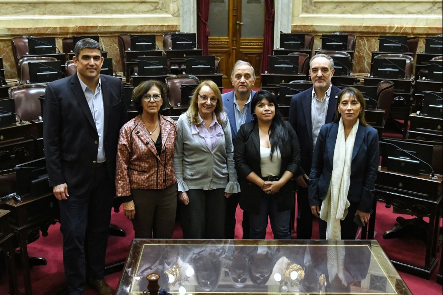 senadores patagonicos