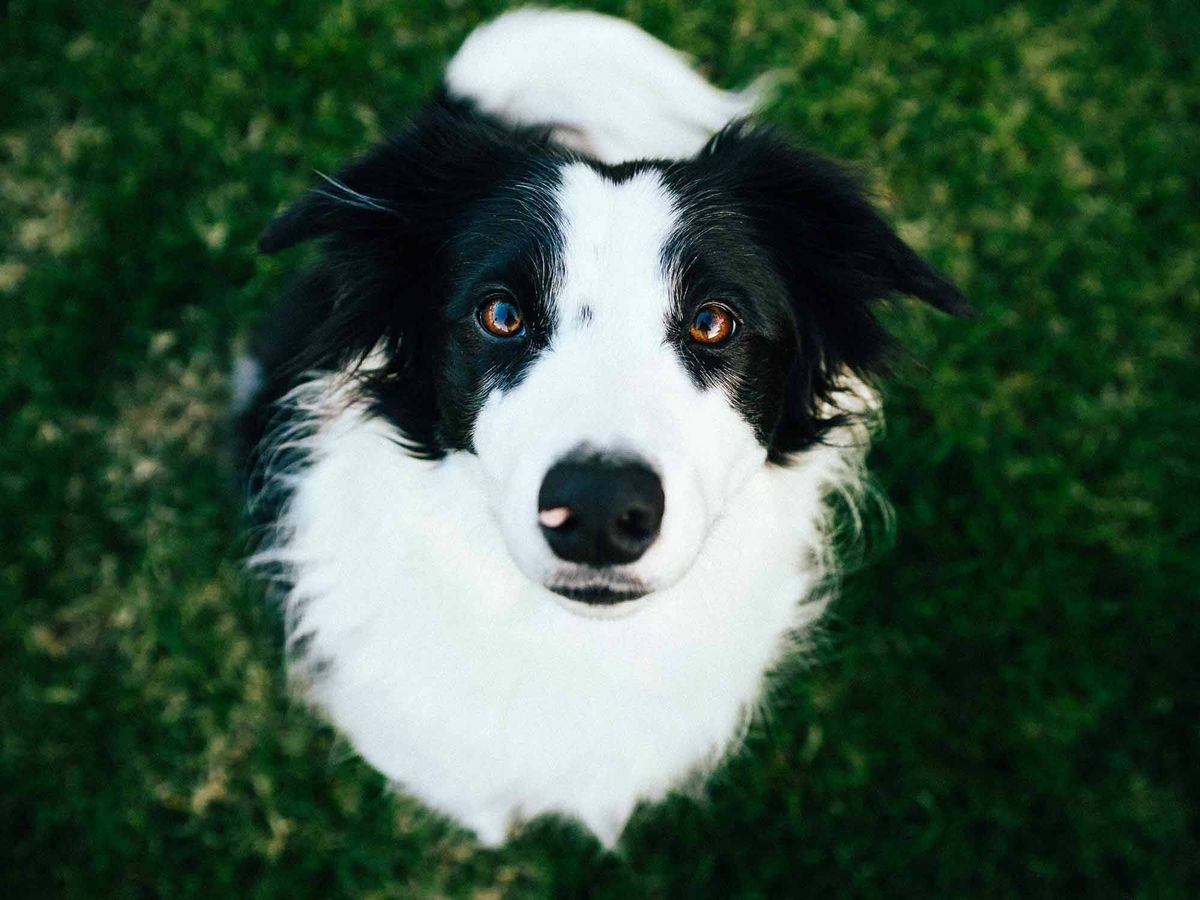 f.elconfidencial.com_original_66c_610_55c_66c61055c27f77bdbdefa3be537336cd