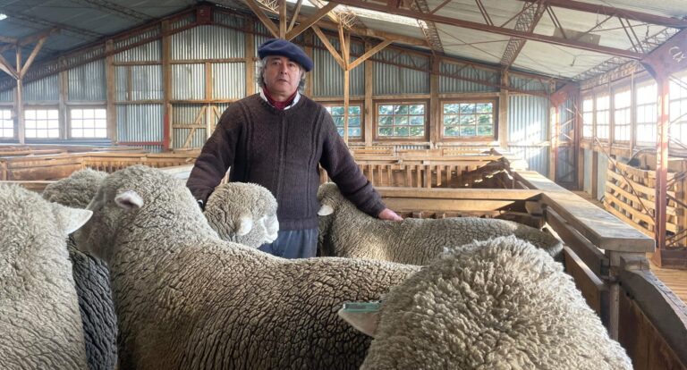julio mercado tieraa del fuego