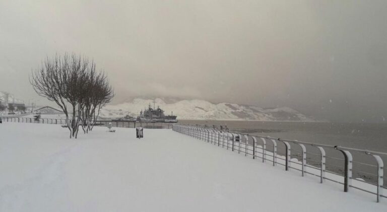 nieva tierra del fuego
