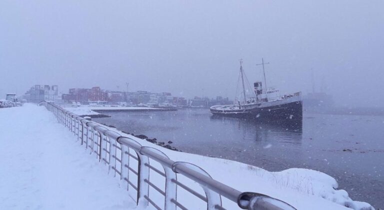 nieve tierra del fuego