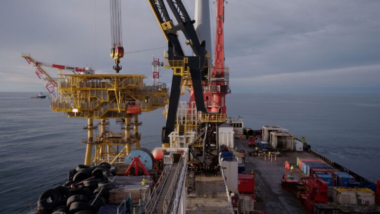 plataforma fenix