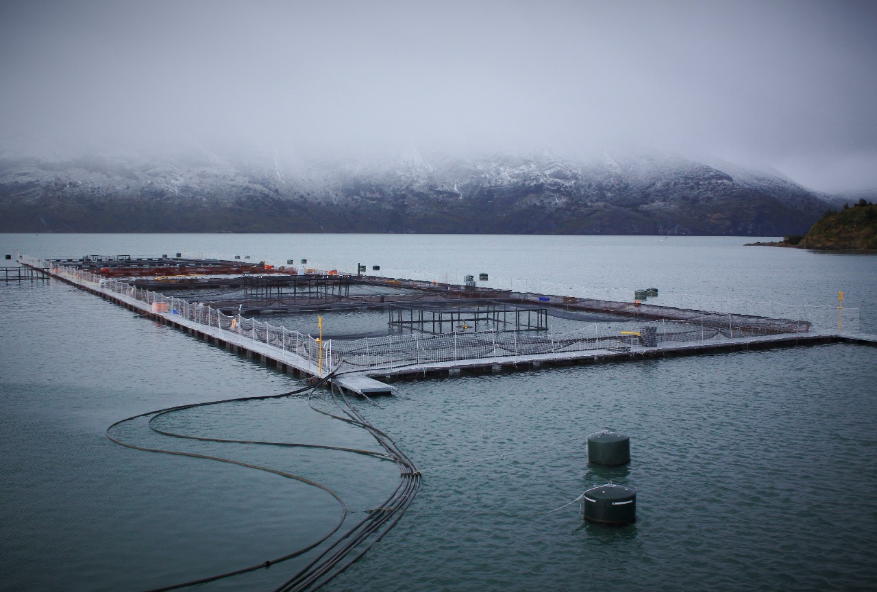 Centro-de-cultivo-de-salmón-balsa-jaula-sur-de-Chile-nieve-Patagonia-foto-SalmonChile_ONG-Canales