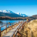 xr:d:DAFOvXrOVjg:94,j:45765984389,t:23012419