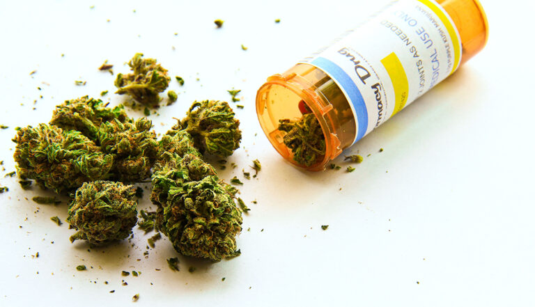cannabis medicinal