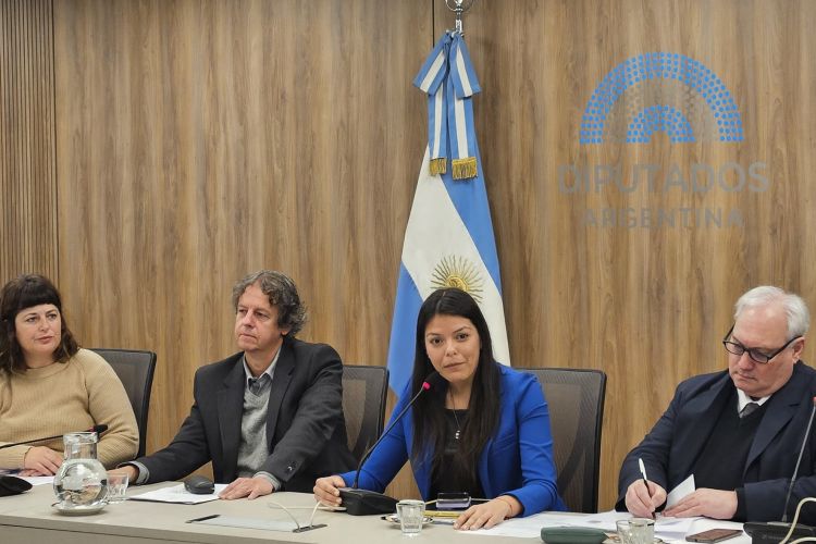 comision-de-libertad-de-expresion-diputados