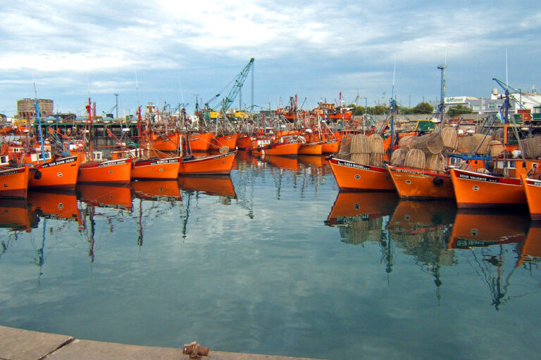puerto mar del plata