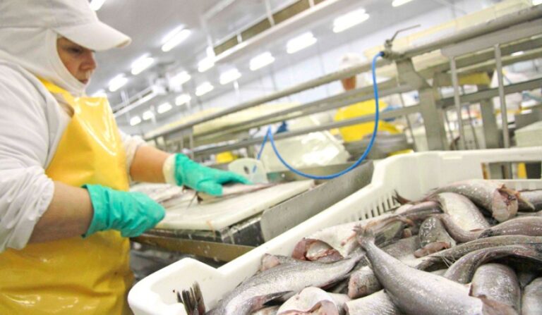 20240918053138_merluzas-portada