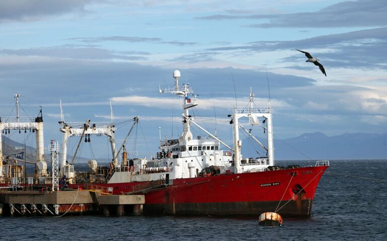 bp_echizen_maru barco merluza