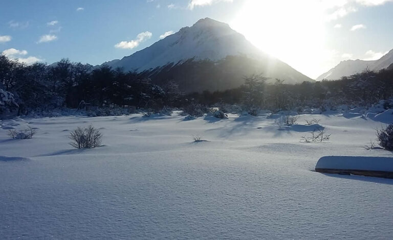 reserva-cerro-alarken-7