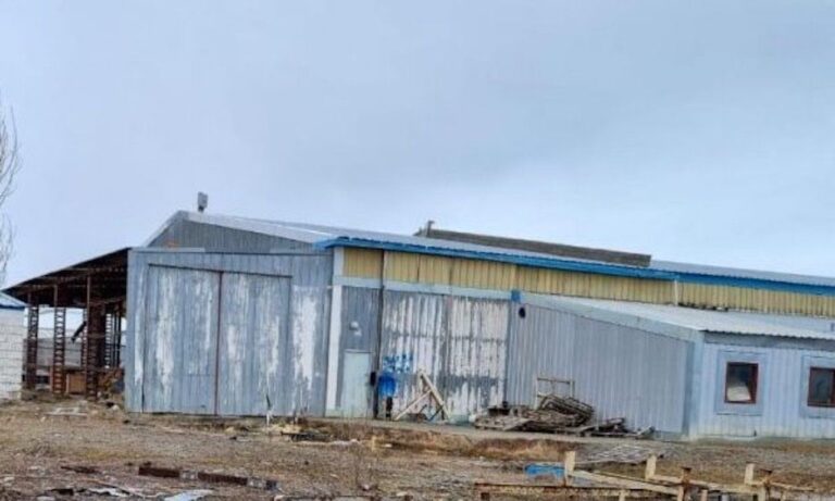 20241029102333d39852b5cf5ff155bb23632996ceb2c7 foxman fueguina