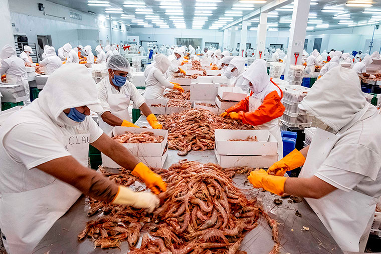 Revista-Puerto-Chubut-Langostino-img-02