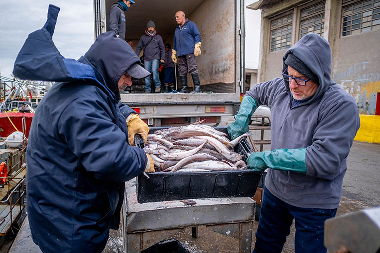 Revista-Puerto-Mar-del-Plata-Merluza-Descarga-en-el-muelle-Deyacobbi-img-02