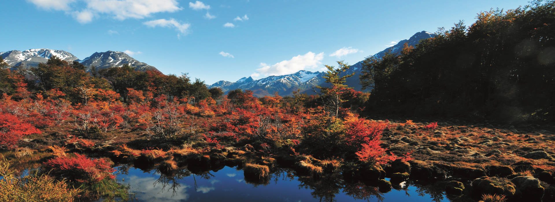 rnca-1920x700-1 Alarkén reserva