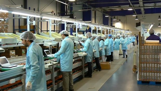 fabricas-620x349 industria