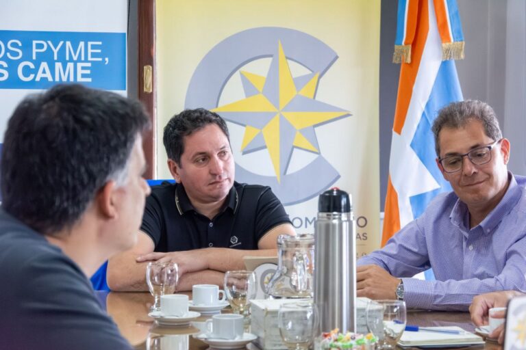 5044085652454485854 cesar molina camara comercio