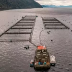 salmoneras1-1_1200_800