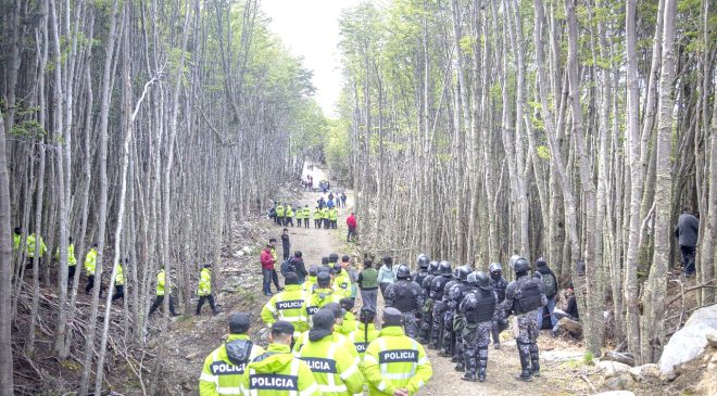 Bosque Ushuaia