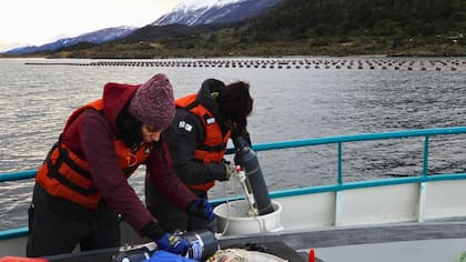 becarias-integrantes-del-equipo-que-realiza-el-QNFOP7WFRJG3DCOJ2NJY6OD2GY