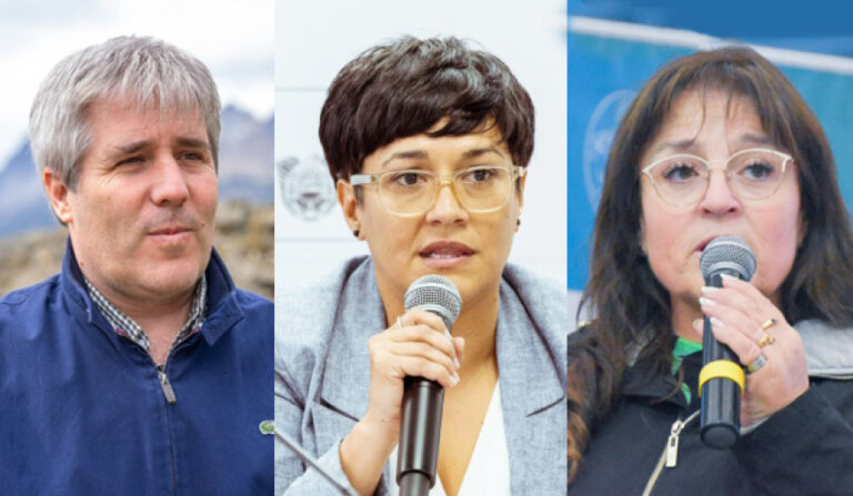 20251117230343_reemplazantes