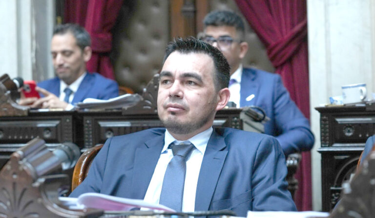 Diputado Miguel Rodríguez