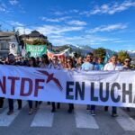 Untdf lucha